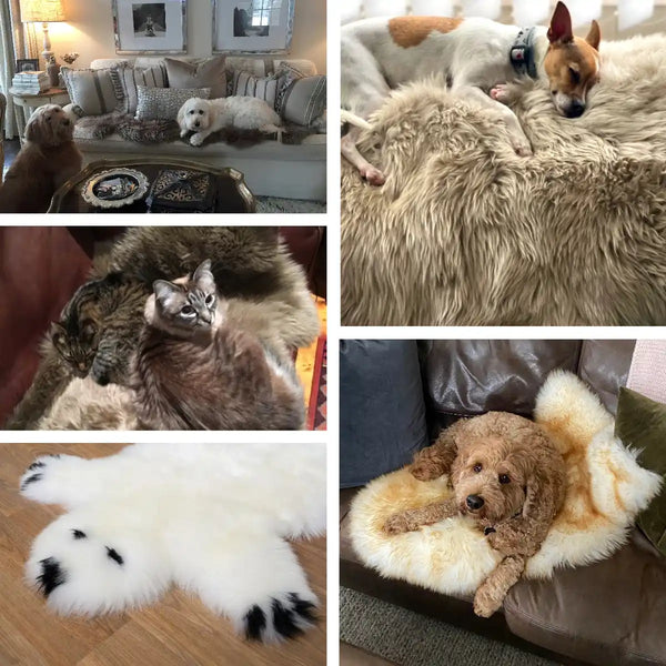 Lambswool dog mat sales