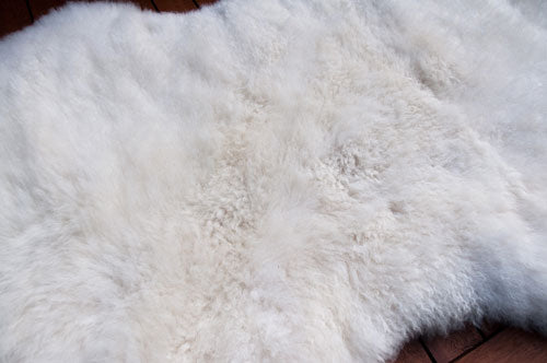 Clean and fresh sheepskin rug after washing