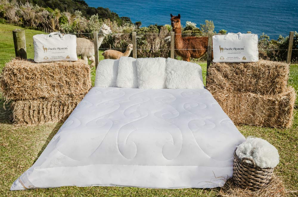 Pacific Alpacas All Season Duvet Inner 100 Alpaca Duvet Nz Made