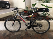 tongsheng ebike