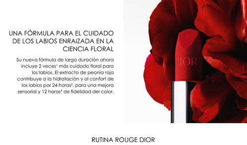 2-Rouge-Dior-InPage-Dior.jpg__PID:e5e9a4f5-050a-41a3-a93e-6cc8f9981157