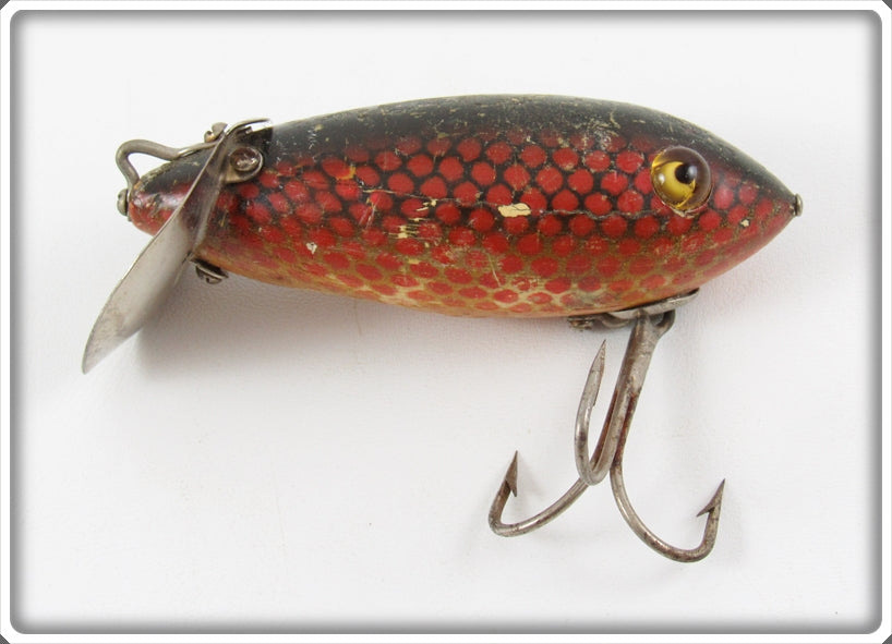 HEDDON SPINDIVER レッドスケール www.thesciencebasement.org