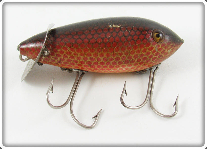 HEDDON SPINDIVER レッドスケール www.thesciencebasement.org