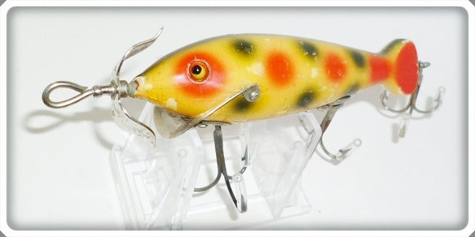 HEDDON SPINDIVER レッドスケール www.thesciencebasement.org