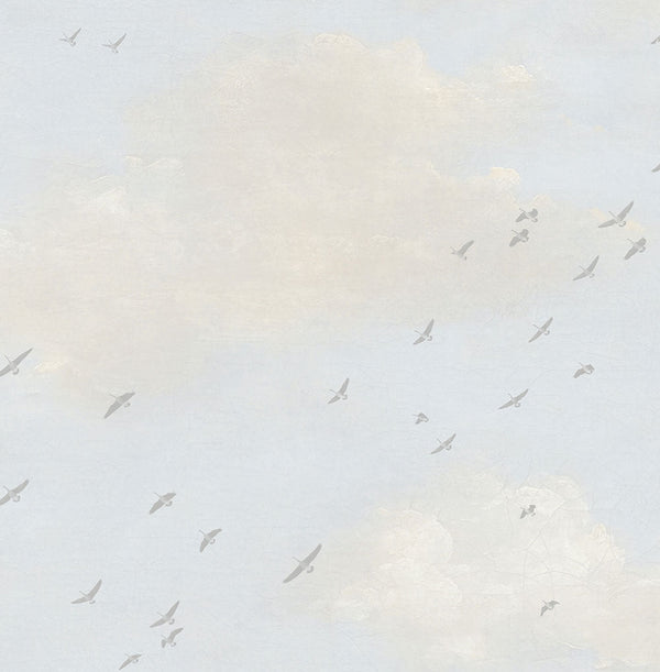 bird migration wallpaper