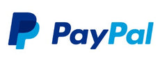 paypal outil business
