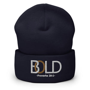 Bold 'Series' Beanie (Navy)