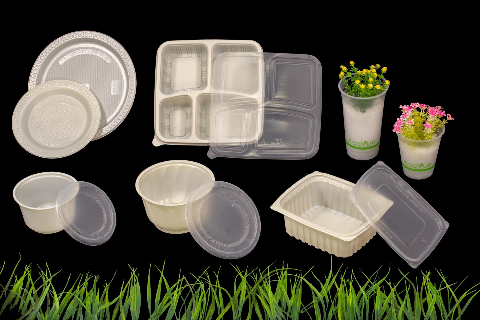 Biodegradable Plastic Container Food Packaging Containers