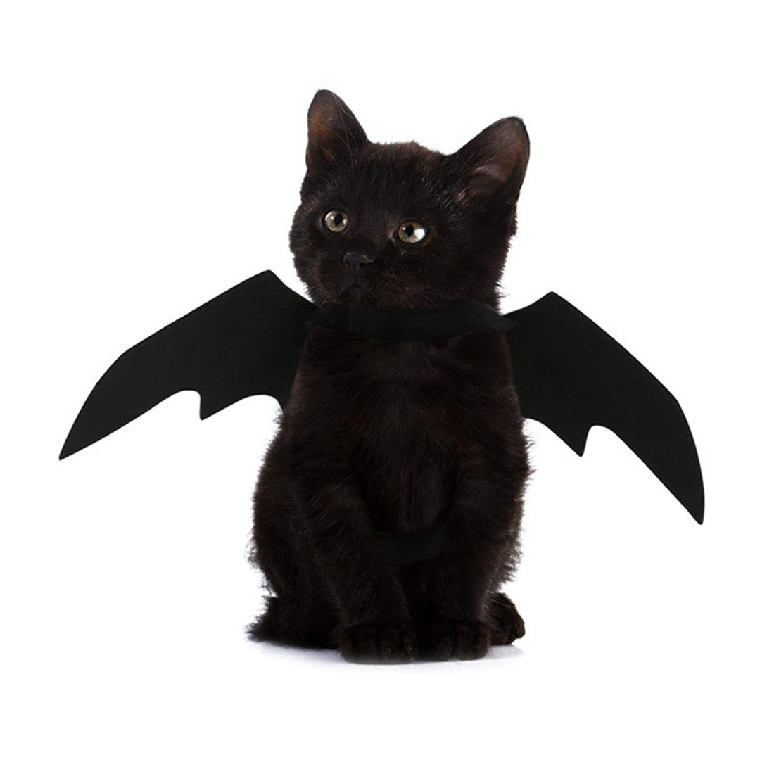 cat halloween costume