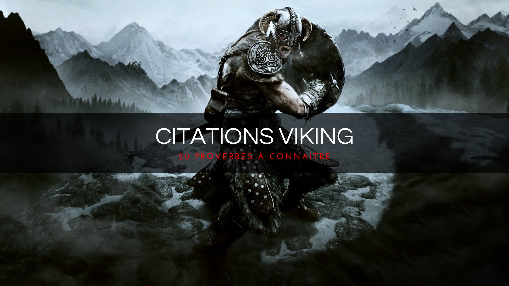 Les Meilleures Citations Viking Citations Et Proverbes Menviking