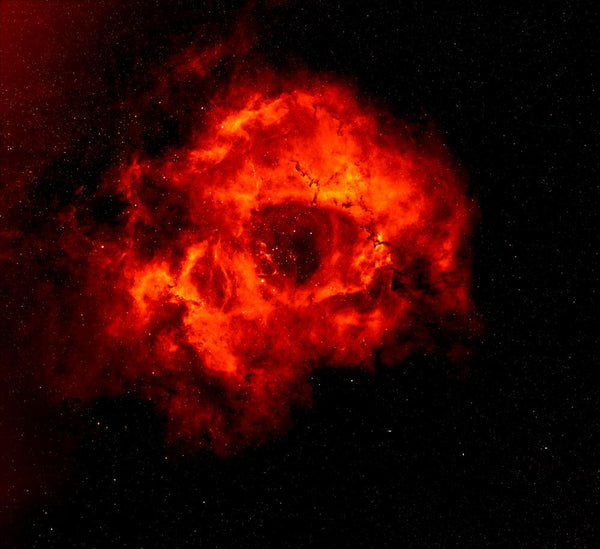 Rosette or Skull Nebula
