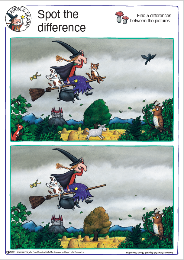 Room on the Broom Spot the Difference Activity Sheet