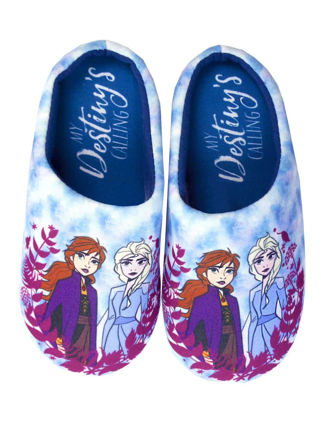 bijkeuken storm Reciteren Disney Frozen 2 Elsa & Anna "My Destiny's Calling" Girl's Character Sl —  Vanilla Underground