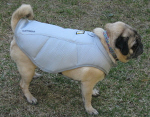 cooling jacket for dogs