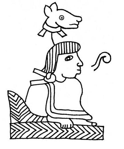 Glifo de Nezahualcóyotl, Códice Xolotl