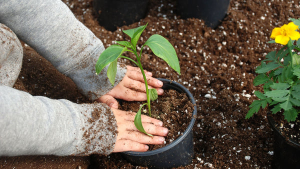 les bienfaits du jardinage avec vos enfants