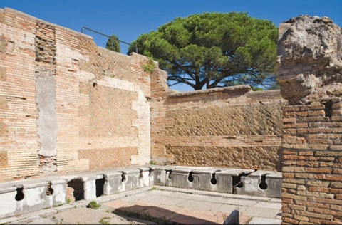 Ancient Roman Communal Restroom