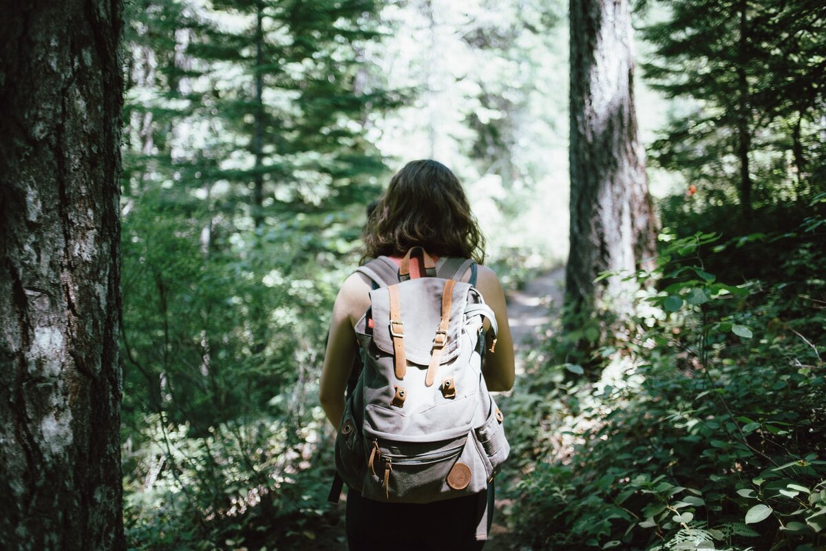 A person with a backpack wandering through the woods