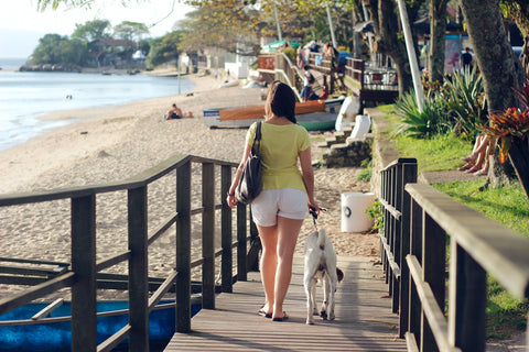 woman walking dog to the beach