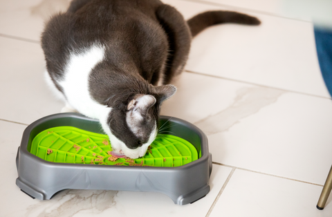 Cat eating from a Neat-Lik Mat