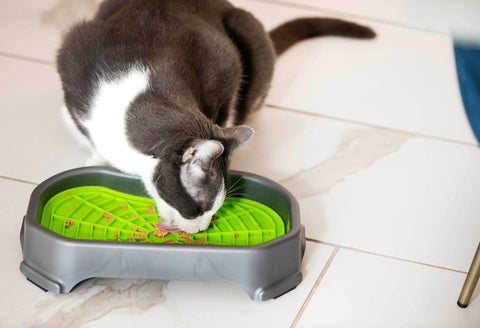 8 Tasty Treat Suggestions for the Neat-Lik Mat – Neater Pets
