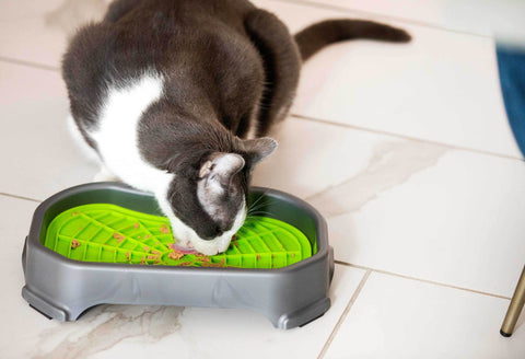 What To Put On Lick Mat For Cat? Best Lick Smacking recipes – Sheraton  Luxuries