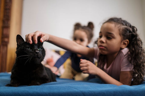 Children petting a cat