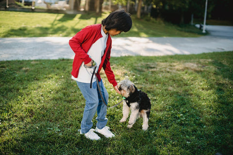 Child petting dog