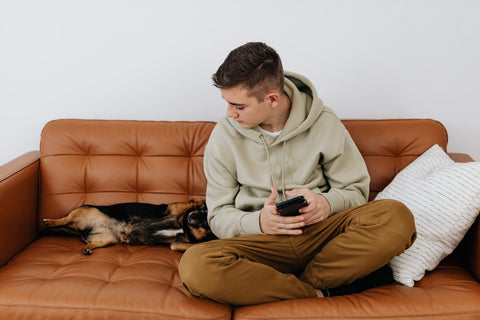 Dog sitting on couch