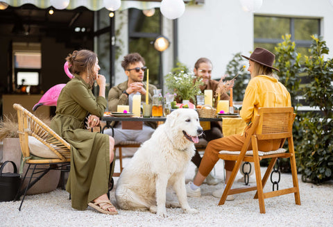 A group of people eating with a dog sitting nearby