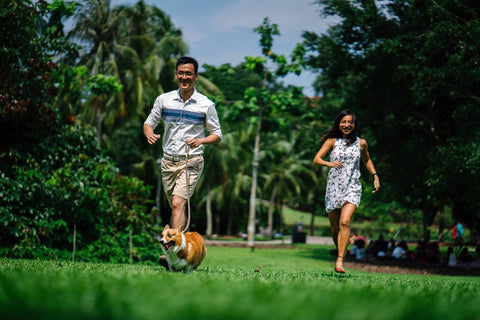 couple at park with dog 