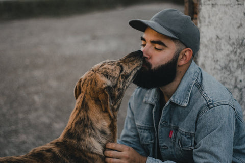 Picture of man kissing dog