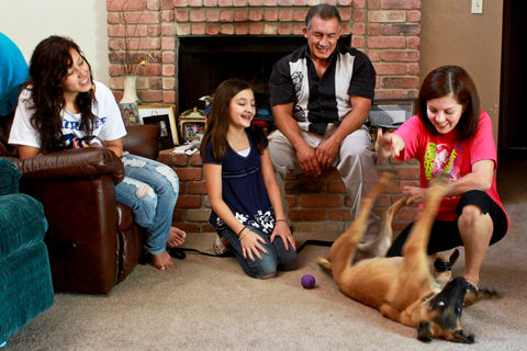 family that has fostered a dog