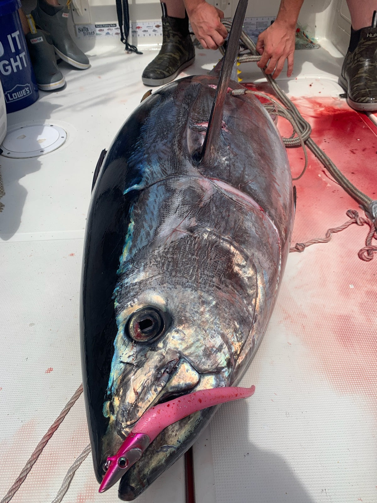 Casting & Jigging Lures For California Bluefin