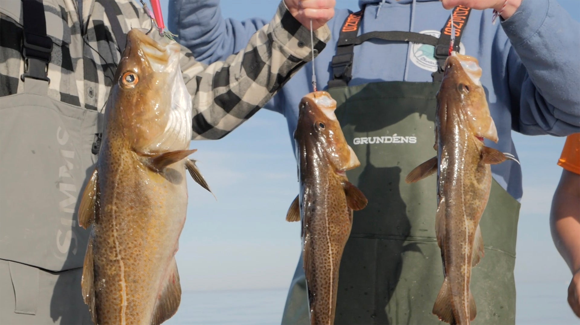 Offshore Jigging Cod, Haddock