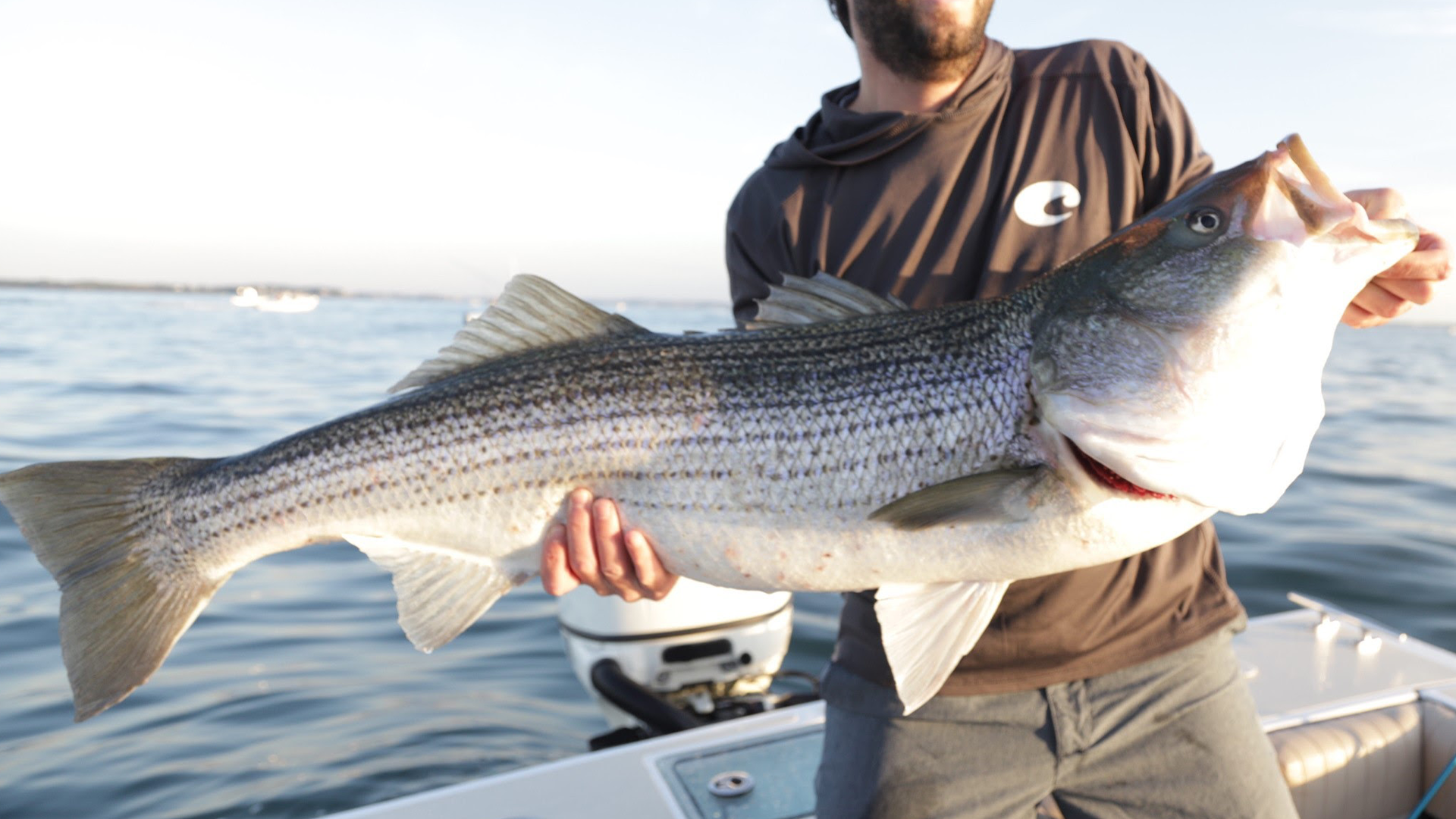 Video: Casting & Jigging Striped Bass At Monomoy Shoals – Hogy Lure Company  Online Shop