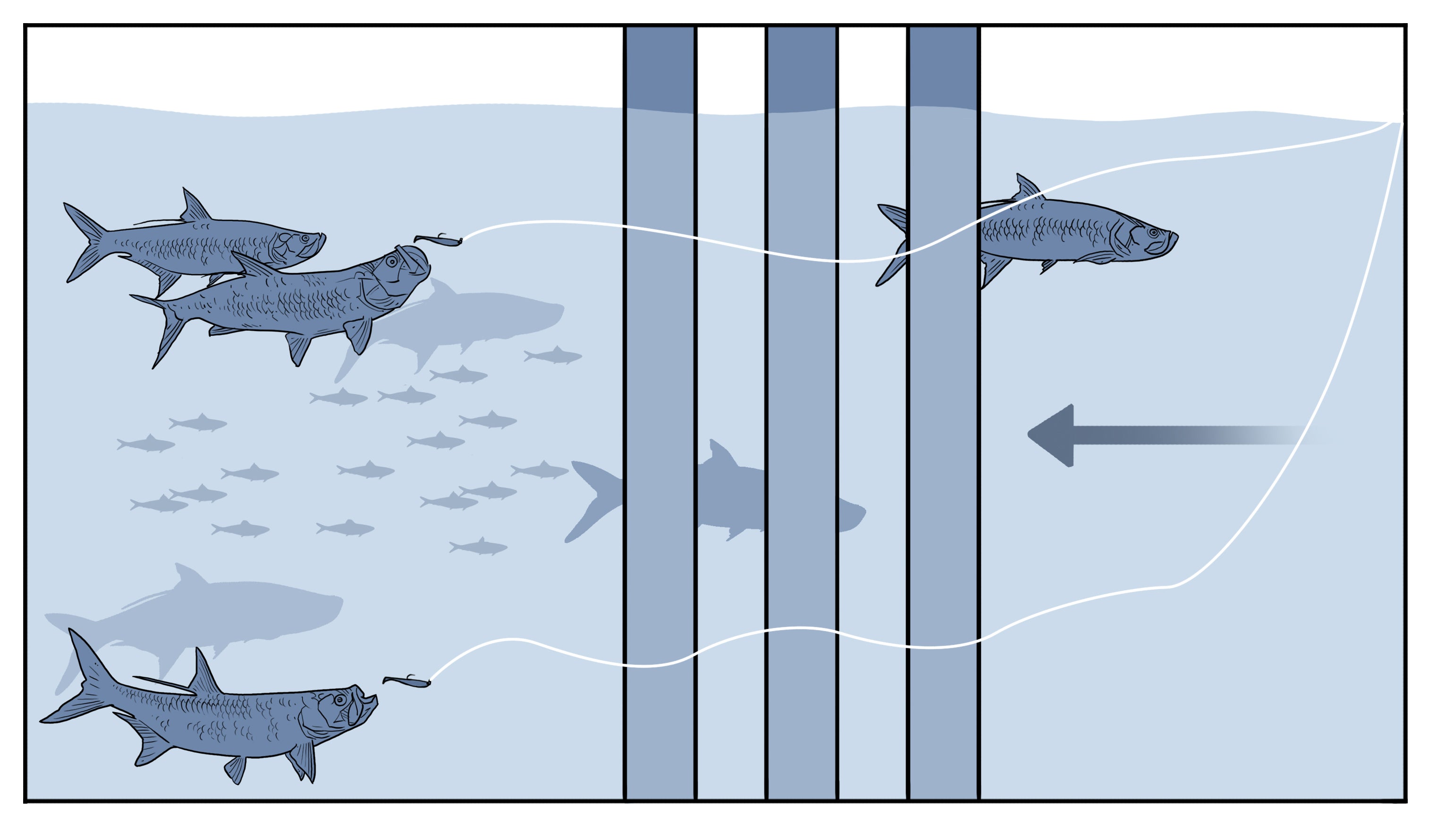 Circle Hook Size Chart - Fishing Florida Water LLC