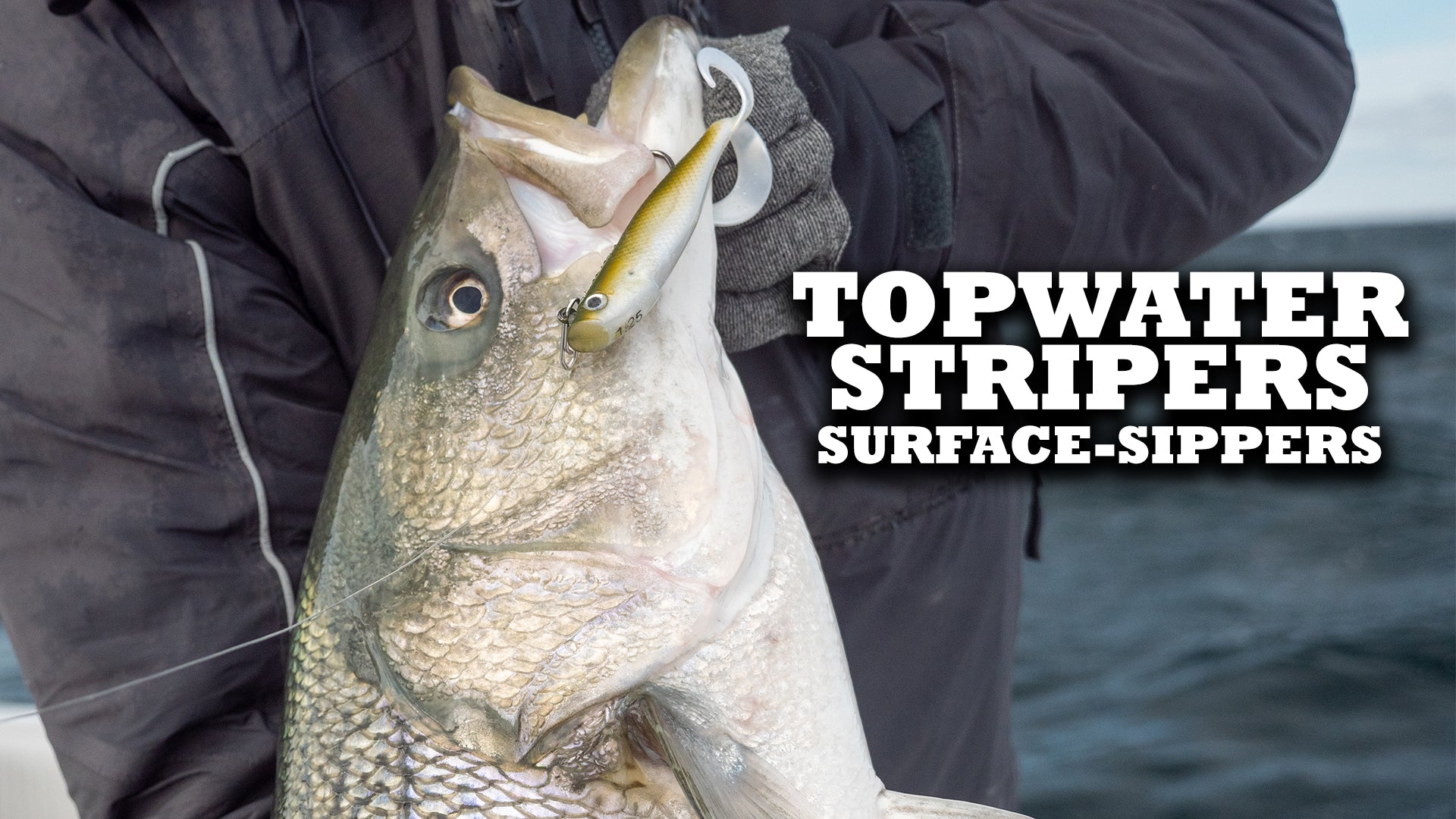 How-To: Slowtails For Finicky Surface Sipping Stripers – Hogy Lure Company  Online Shop