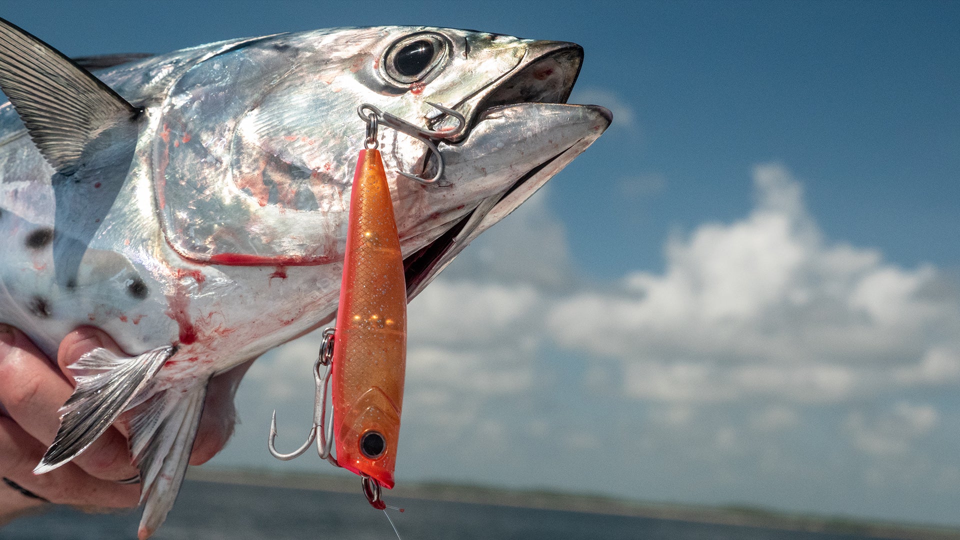 Pro Talk: Perfect Jig For White Seabass – Hogy Lure Company Online Shop