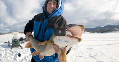 Video: Jigging for Lake Trout with Softbaits – Hogy Lure Company Online Shop