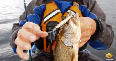 Video: Open Water Lake Trout Jigging – Hogy Lure Company Online Shop