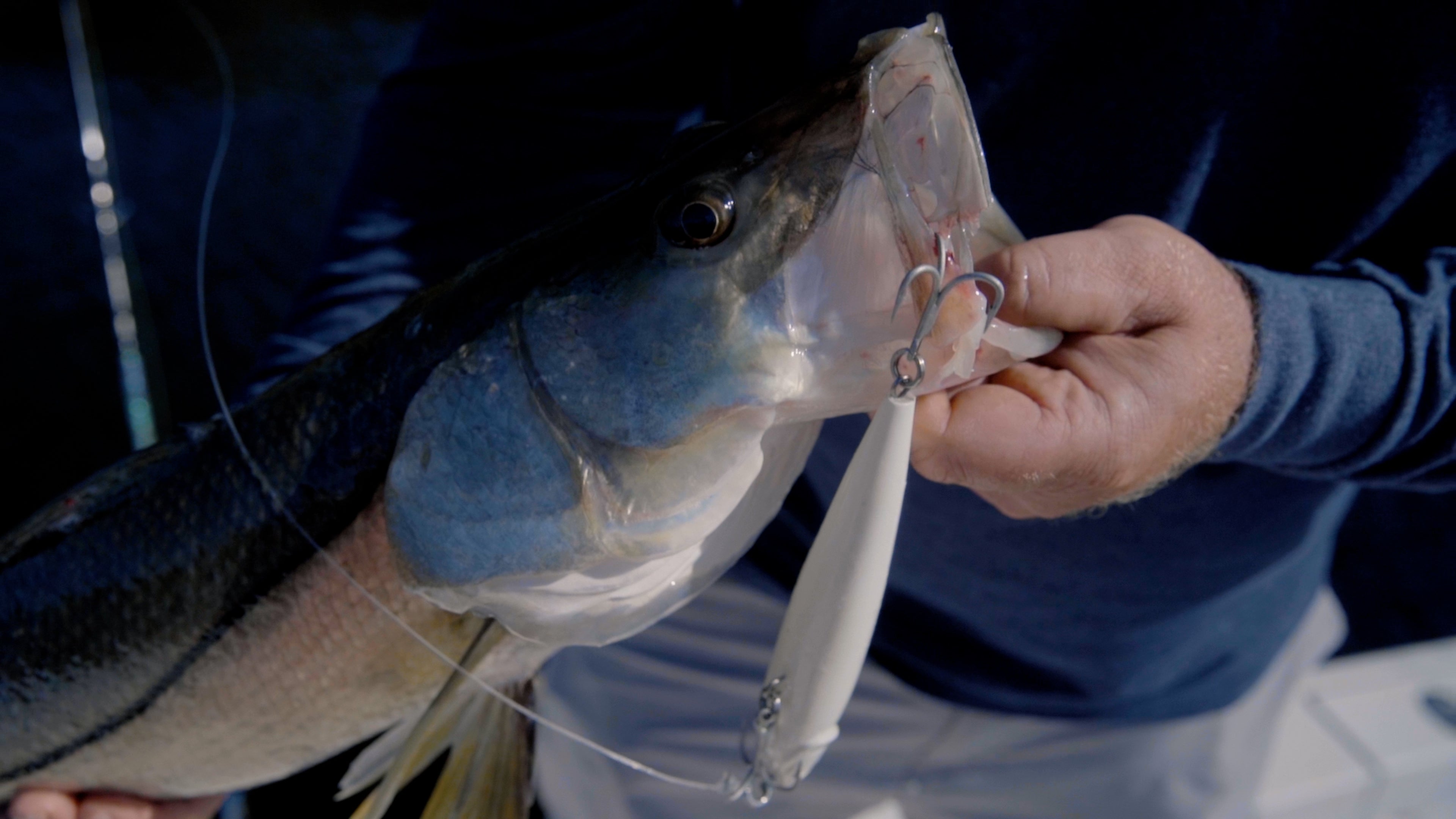 How To: Snook Fishing Top Water Plugs + Swimbaits – Hogy Lure
