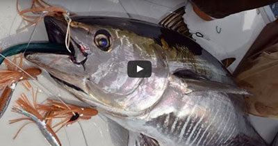How To: Trolling for Bluefin Tuna with Spreader Bars – Hogy Lure Company  Online Shop