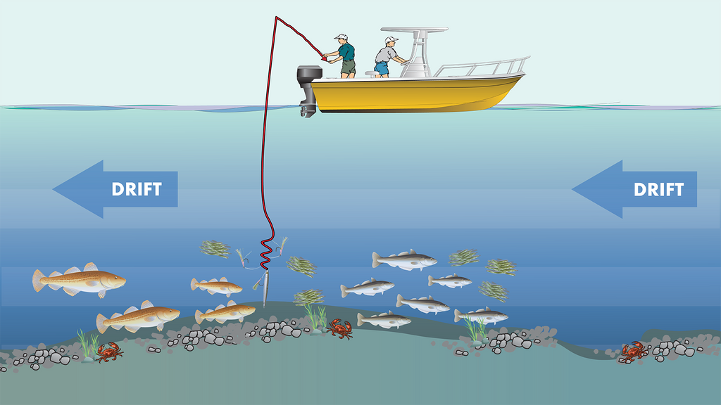 Cod Haddock Jigging Techniques Diagram