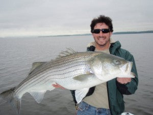 Pro Talk: Chesapeake Bay Shallow Water Giant Spring Stripers – Hogy Lure  Company Online Shop