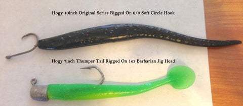 Pro Talk: Sand Lance - Needlefish Jigs For Chinook (King) Salmon – Hogy Lure  Company Online Shop