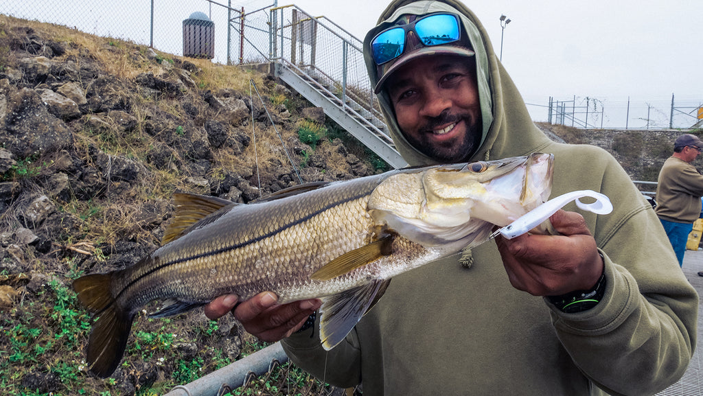 How To: Lures and Techniques For Spillway Snook – Hogy Lure