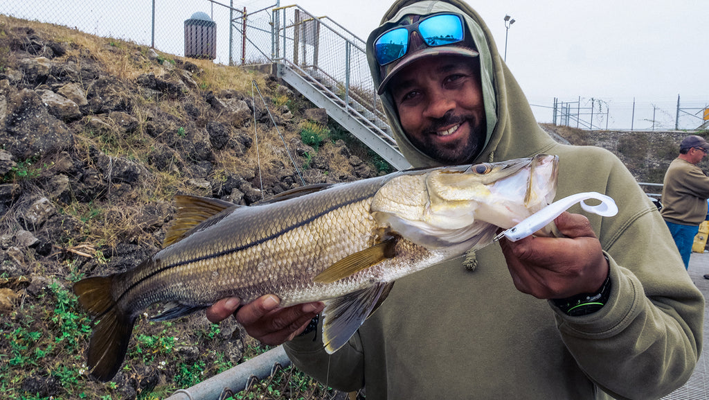 How To: Lures and Techniques For Spillway Snook – Hogy Lure Company Online  Shop