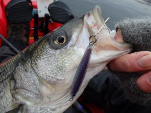 How-To: Epoxy Jigs for New England Winter Stripers – Hogy Lure