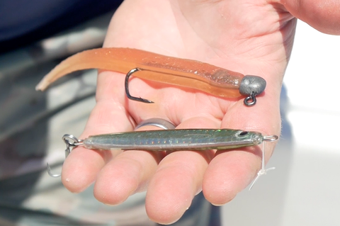 How-To: Sight Casting for Mahi – Hogy Lure Company Online Shop